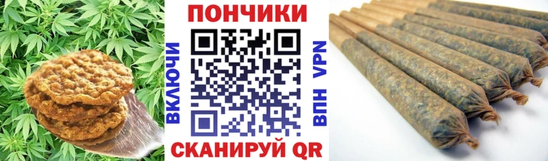 Купить закладки  Суровикино  Cannafood конопля 
